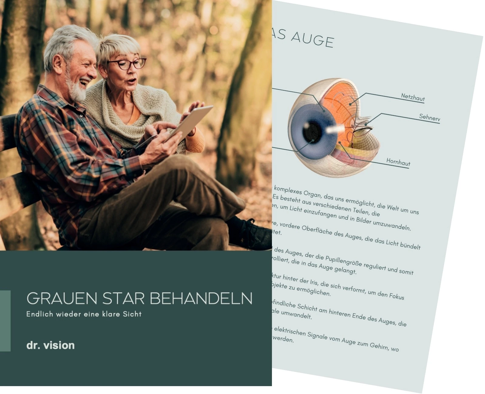 Augenlaser Handbuch Cover von dr.vision aus Frankfurt
