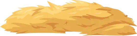 Trockene Makuladegerneration